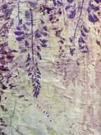 Calming Canopy