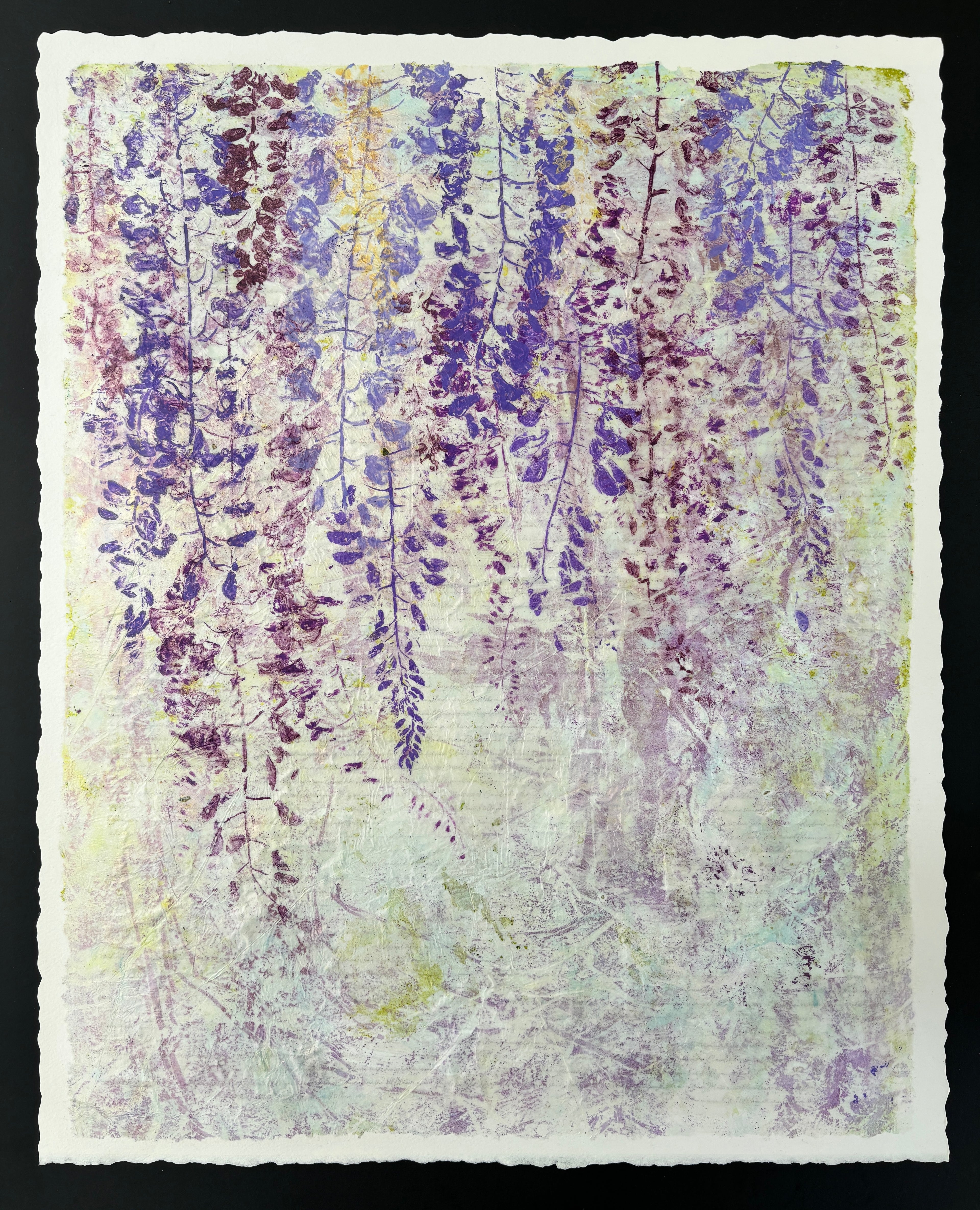 Calming Canopy